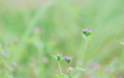 生きづらさを感じる社会、どうすればいい？