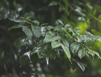 雨の日の気分