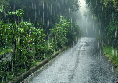 雨降ってる