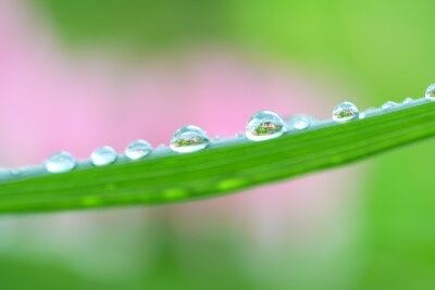 久々の雨