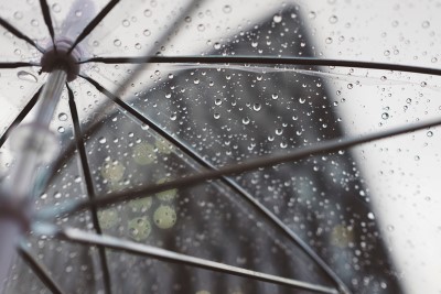 相変わらず雨