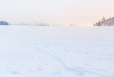 雪が降った