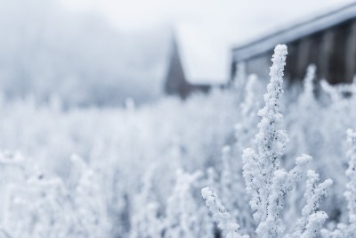 雪が降ったっぽい