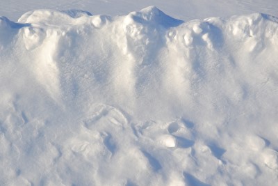 雪はほんのちょっとだけ降ったみたい