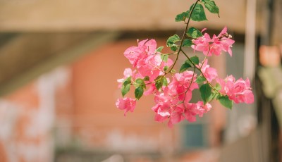 朝は寒いけど、昼は暖かくなるみたい